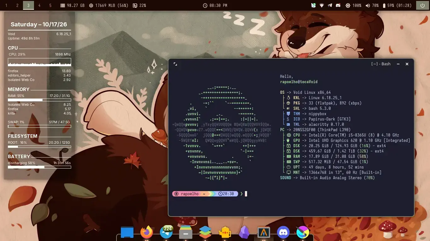 Nippybox antigo rodando no meu Thinkpad L390