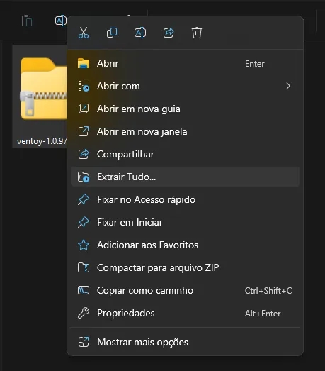 Depois de baixado, extrair o Arquivo.