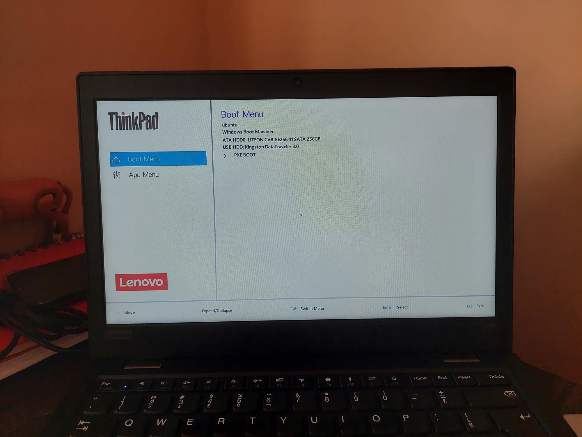 Indo para o Menu de Boot do Computador.